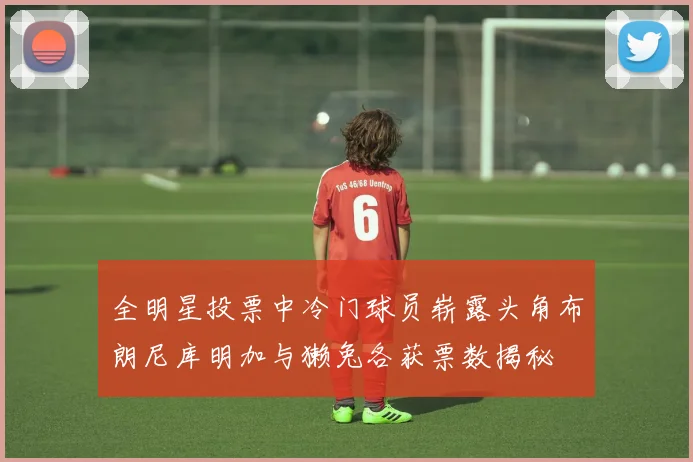 全明星投票中冷门球员崭露头角布朗尼库明加与獭兔各获票数揭秘